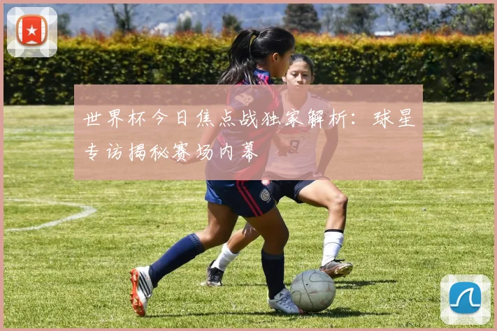 世界杯今日焦点战独家解析：球星专访揭秘赛场内幕